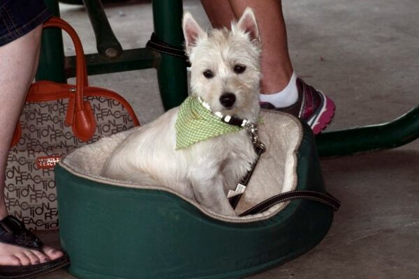 awrr 2014 11 scaledx400