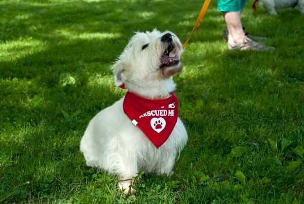 rr 2015 29 scaledx402